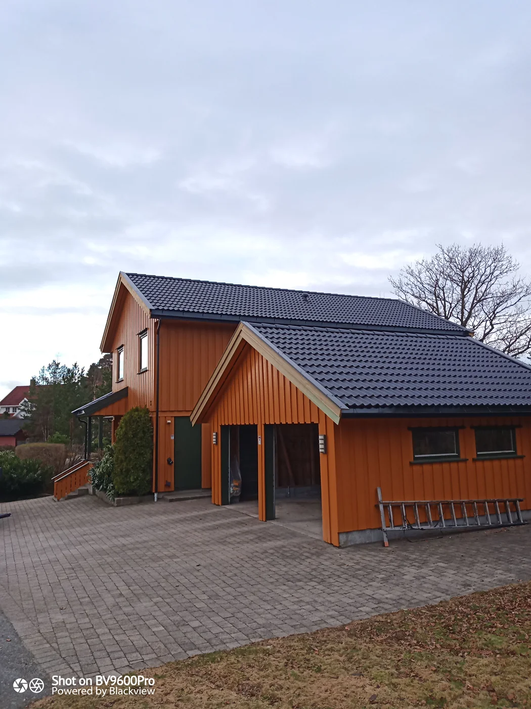Modern wooden house with dark roof