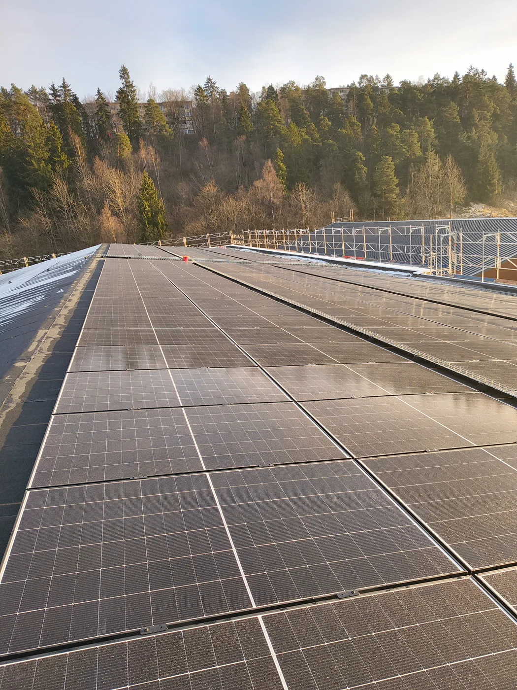 Large-scale solar array installation in forest landscape