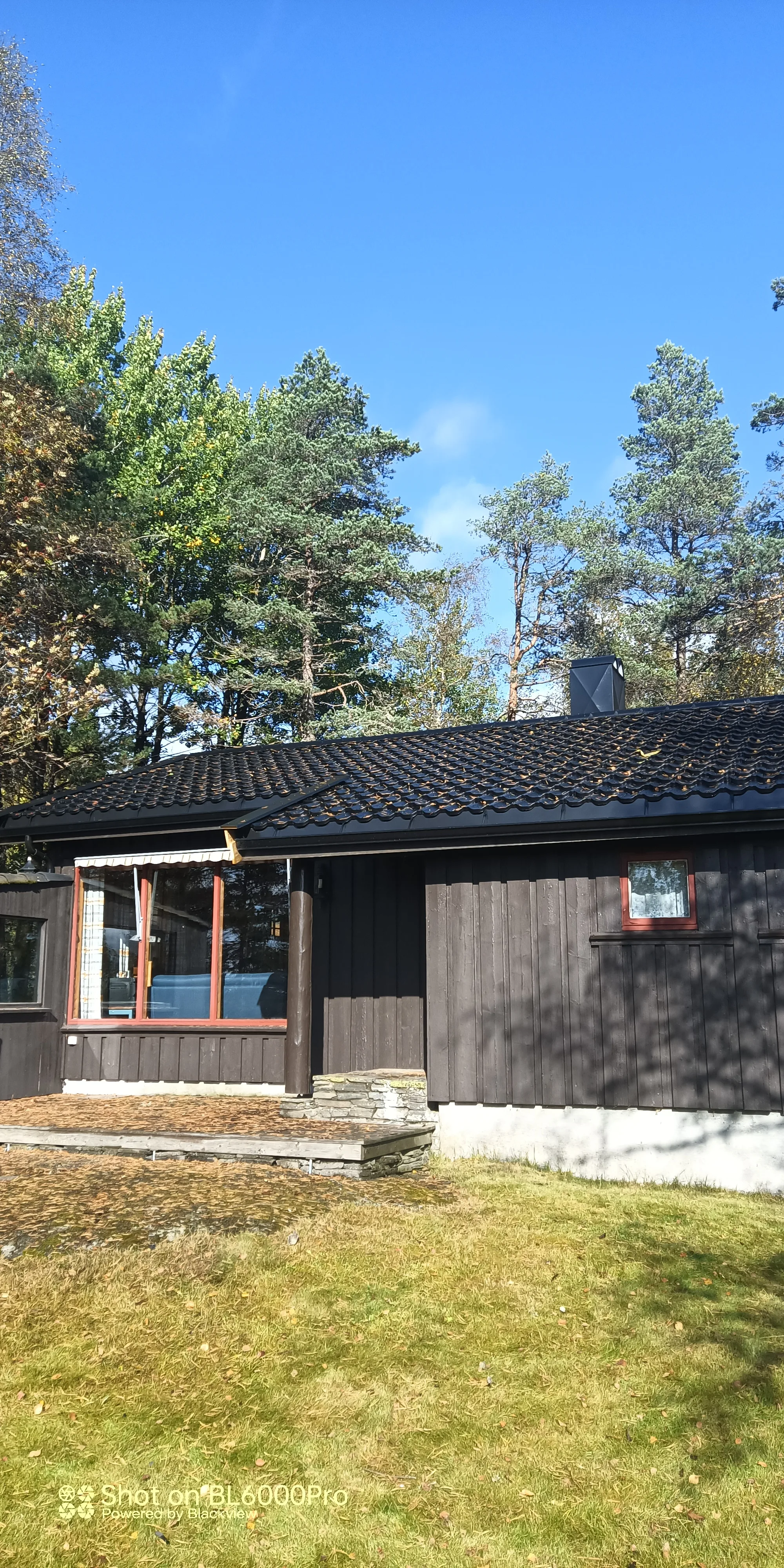 Hus med skråtak i et naturskjønt område, ideelt for takinspeksjon